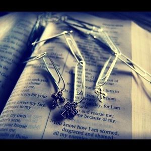 Meet your Posher, Bridget